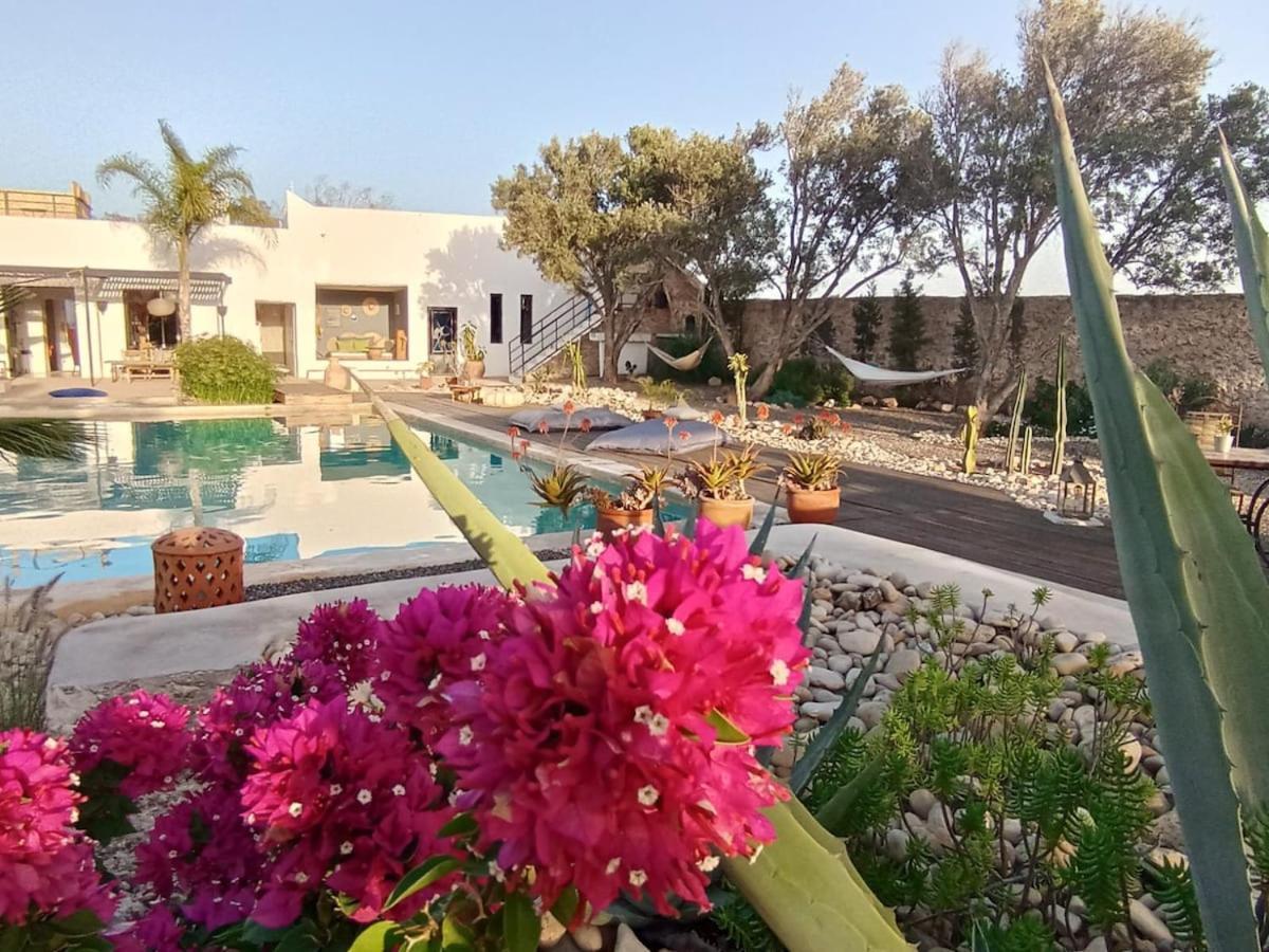 Les Jardins De Silona, Piscine Chauffee Hotell Essaouira Exteriör bild
