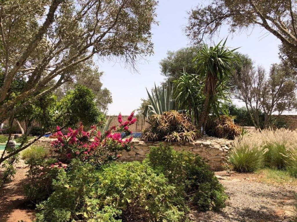 Les Jardins De Silona, Piscine Chauffee Hotell Essaouira Exteriör bild
