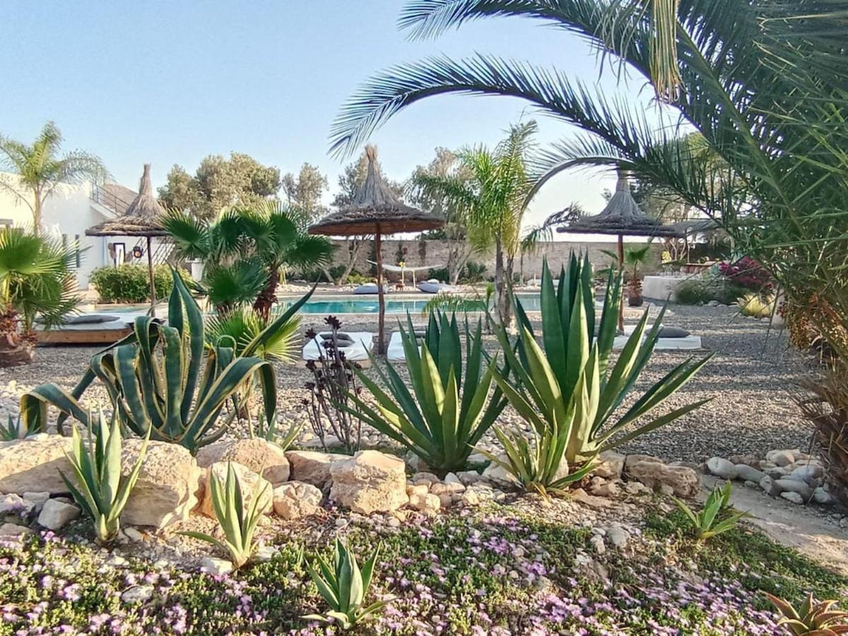 Les Jardins De Silona, Piscine Chauffee Hotell Essaouira Exteriör bild