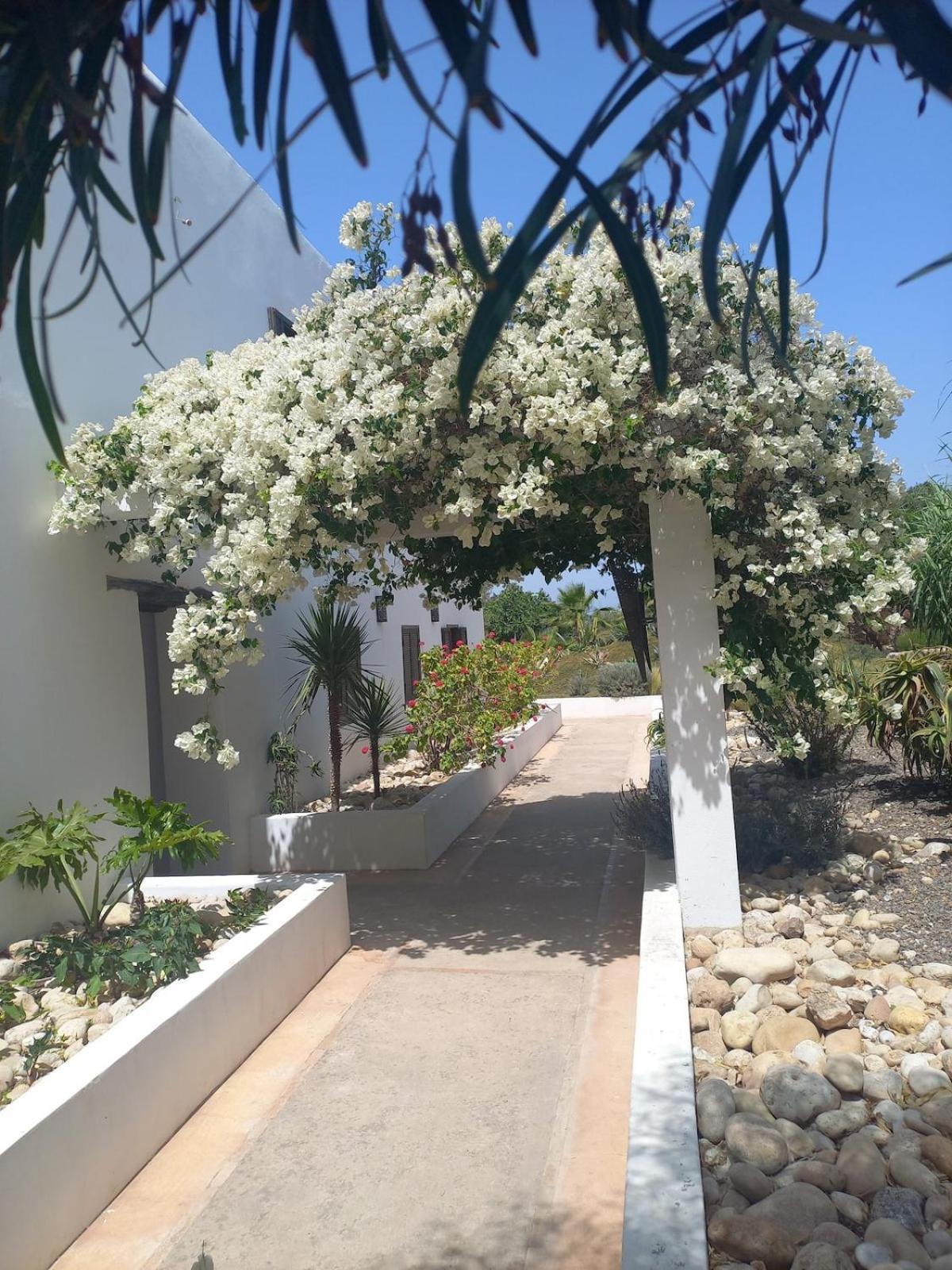 Les Jardins De Silona, Piscine Chauffee Hotell Essaouira Exteriör bild