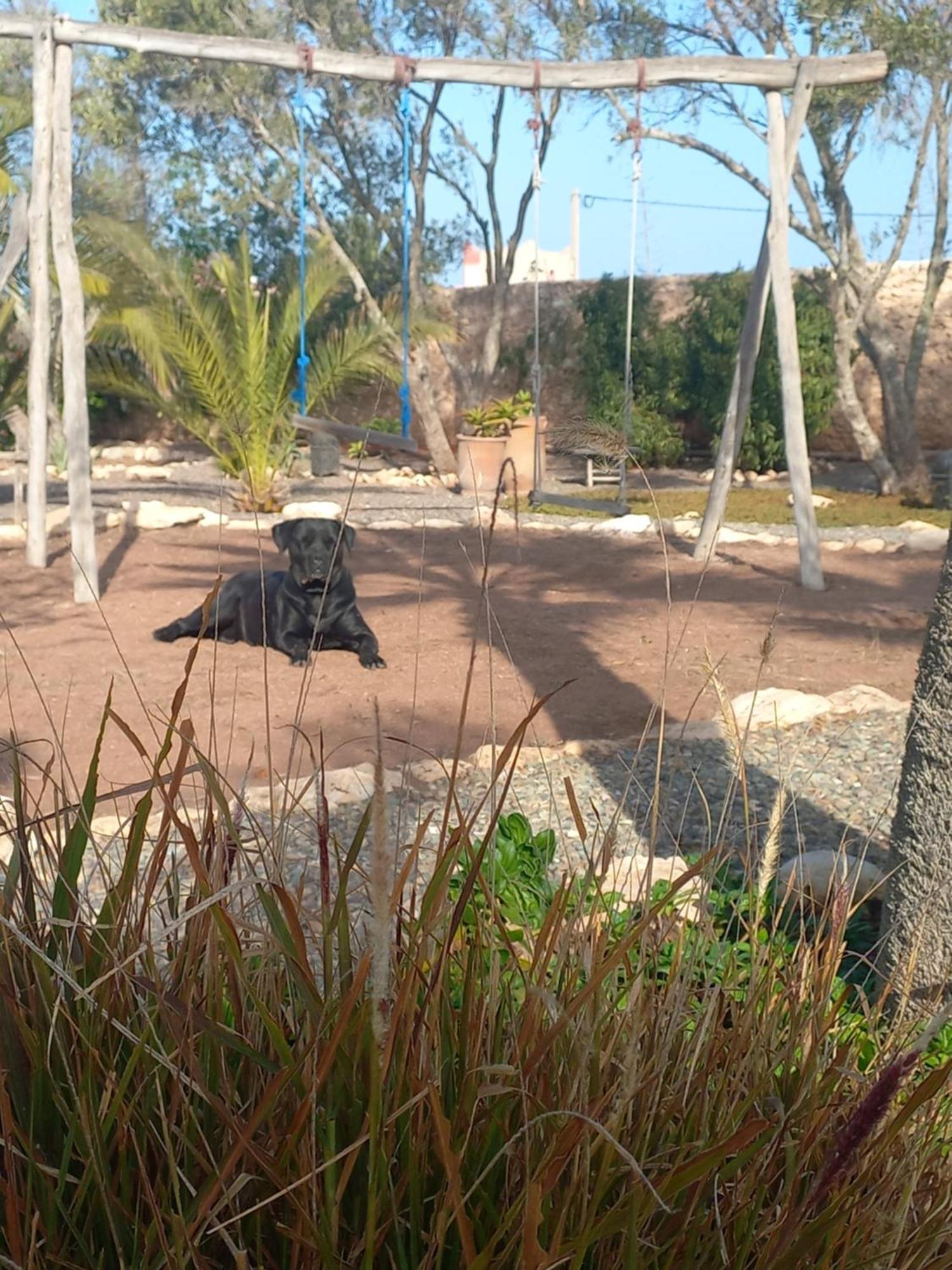 Les Jardins De Silona, Piscine Chauffee Hotell Essaouira Exteriör bild
