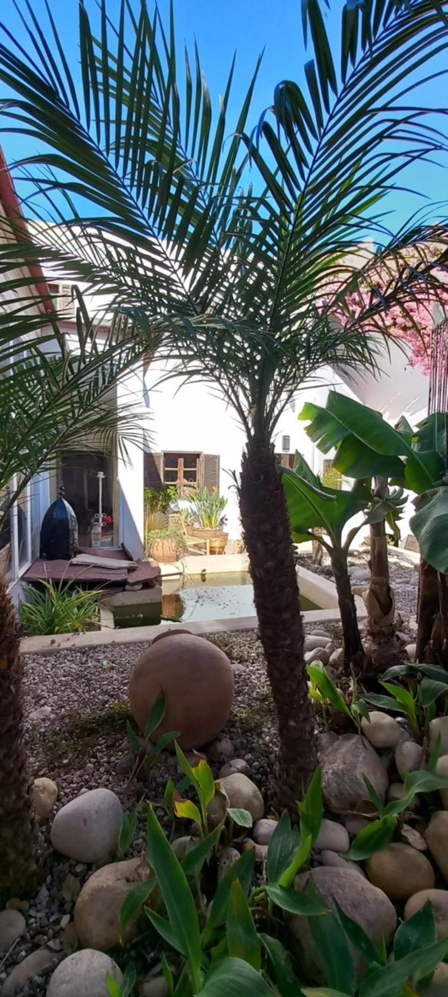 Les Jardins De Silona, Piscine Chauffee Hotell Essaouira Exteriör bild