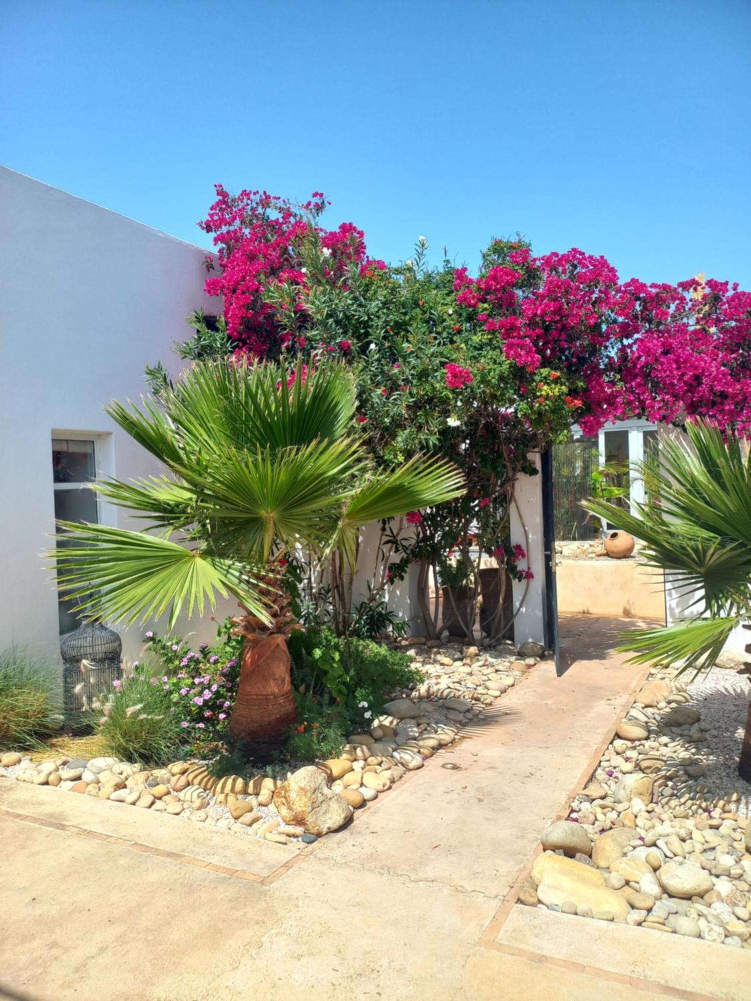 Les Jardins De Silona, Piscine Chauffee Hotell Essaouira Rum bild